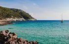 λευκά είδη χονδρική