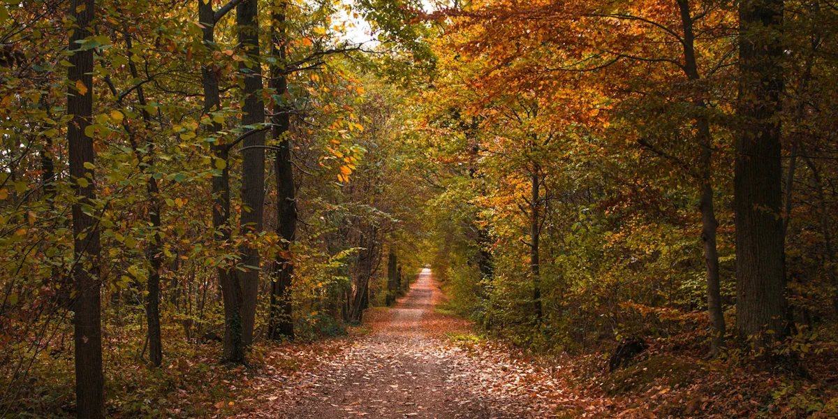 λευκά είδη ξενοδοχείων