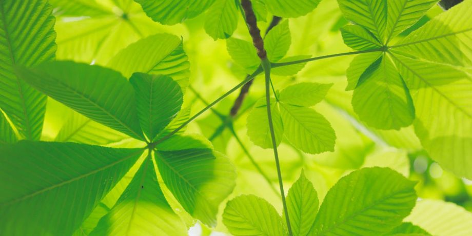 λευκα ειδη ξενοδοχειων