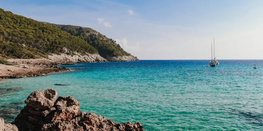 λευκά είδη χονδρική